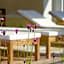 Wellness Hotel Stoos