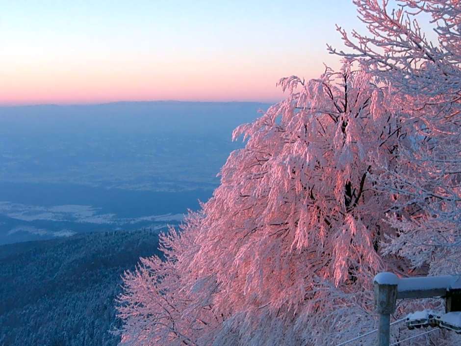 Hotel Tomislavov Dom