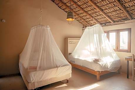 Bed in 4-Bed Dormitory Room