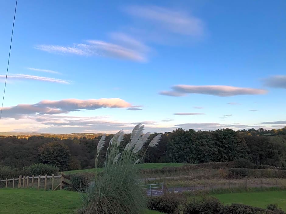 Jacquie's B&B -Dumfries-Room with a view