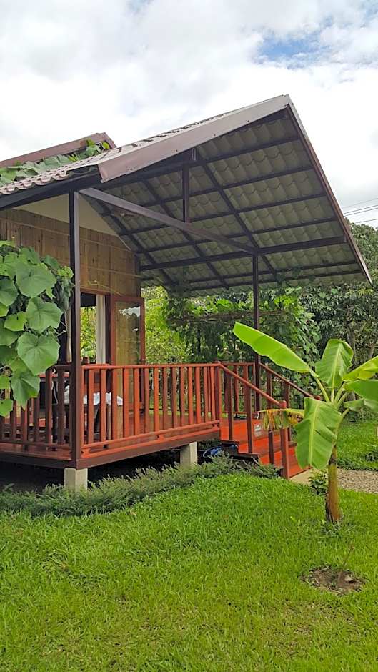 Chiang Dao Reset
