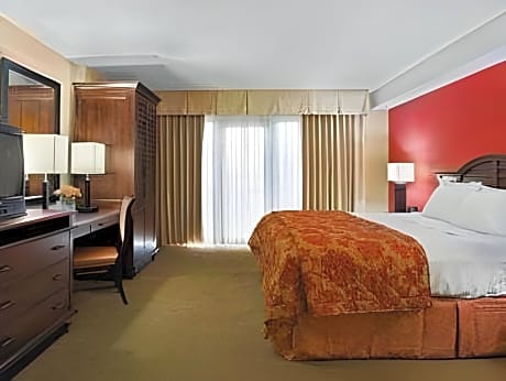 Deluxe Suite with King Bed