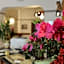 Hotel Bertusi