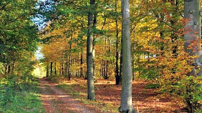 Sur la route des peintres