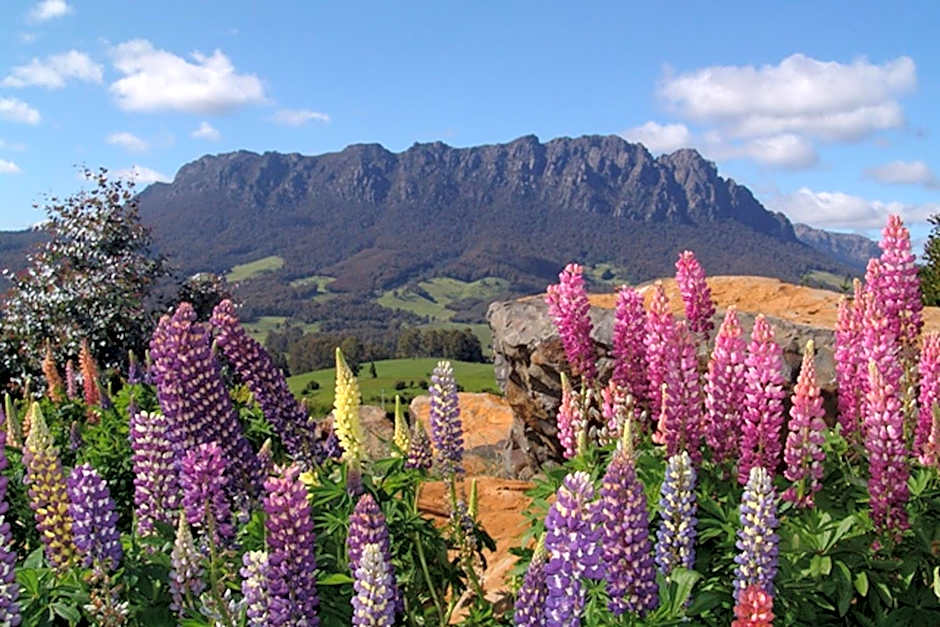 AAA Granary Accommodation