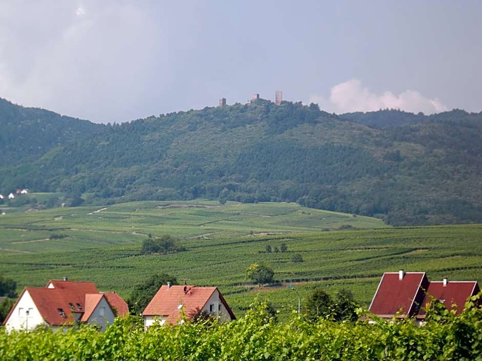 James Vignoble Hôtel - Eguisheim