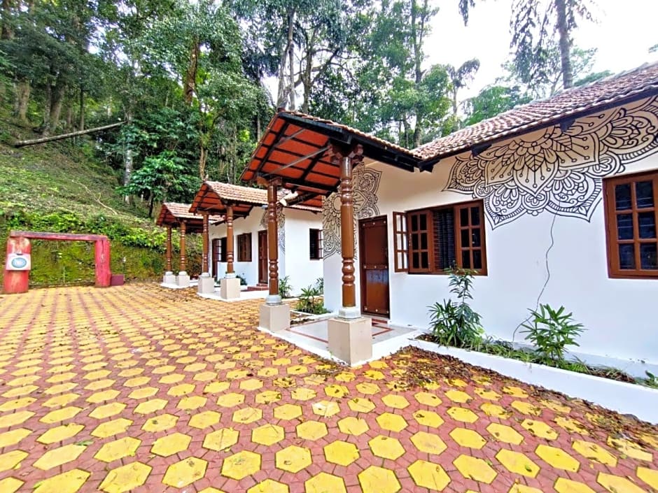 Staymaker q Experiences