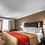 Quality Inn Near Downey Studios