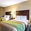 Comfort Inn Lansing West