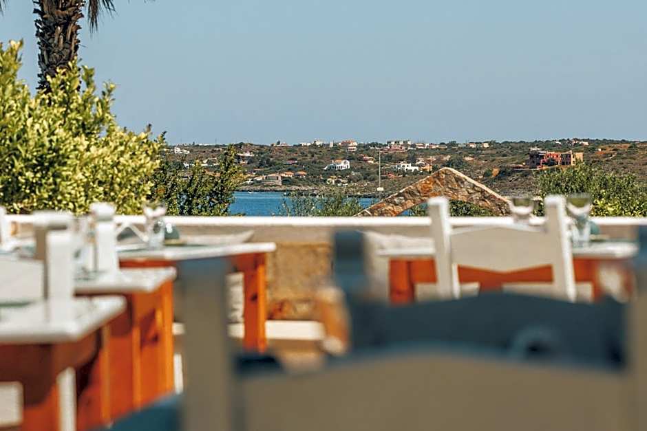 Creta Vitalis