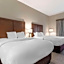 Comfort Inn & Suites Chestertown