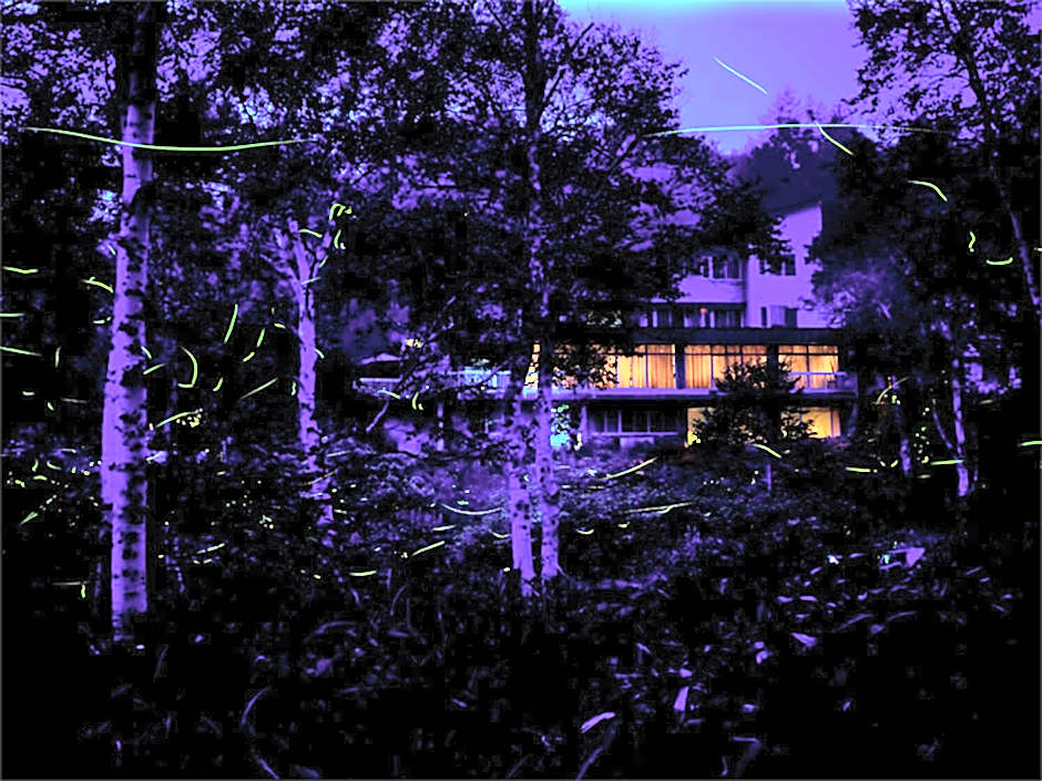 Ishinoyu Lodge