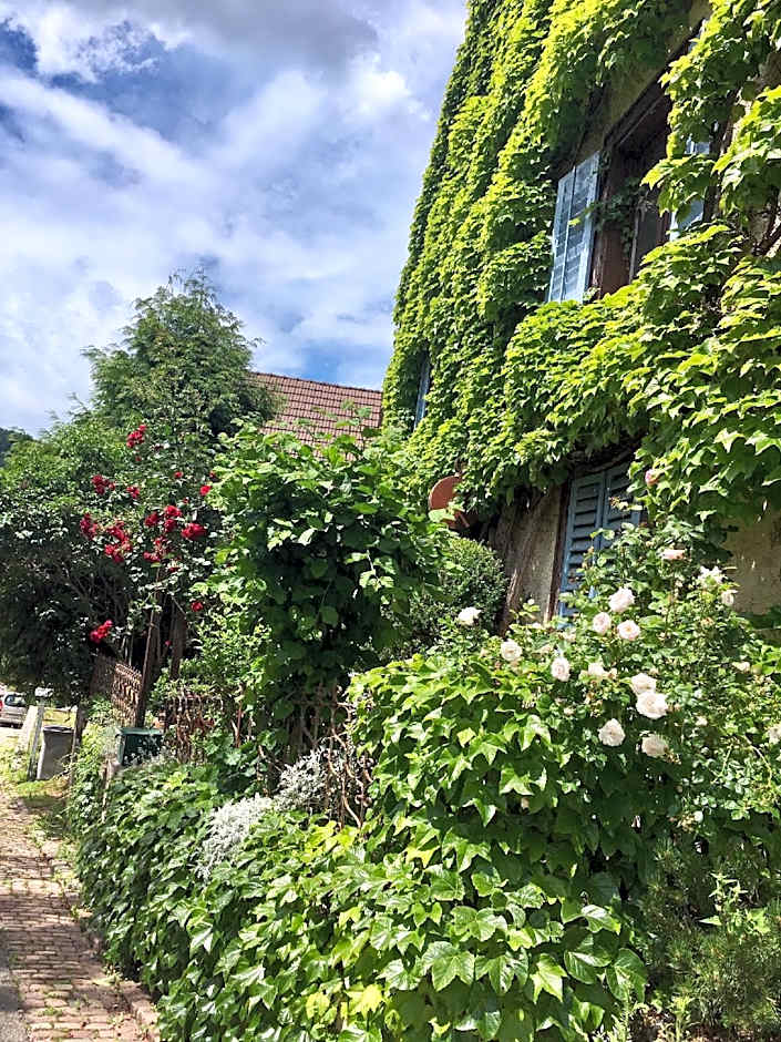 Maison des 5 Temps : Chambres d’hôtes de charme à Ferrette