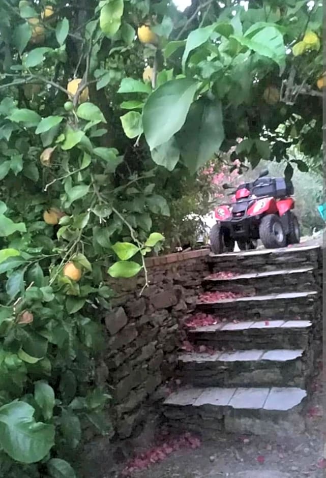 A casa di Grea