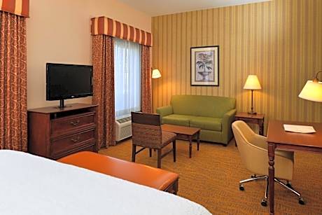 King Studio Suite with Sofa Bed - Non-Smoking