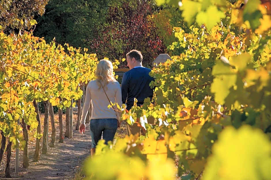 Discovery Parks - Clare