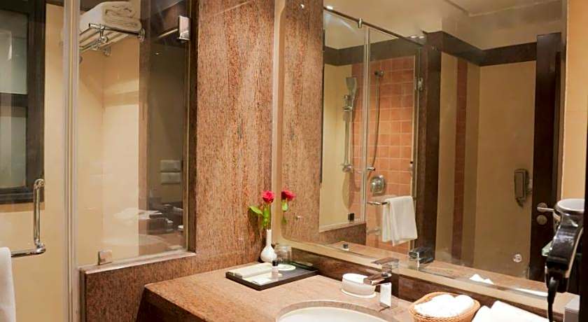 Leisure Inn Grand Chanakya