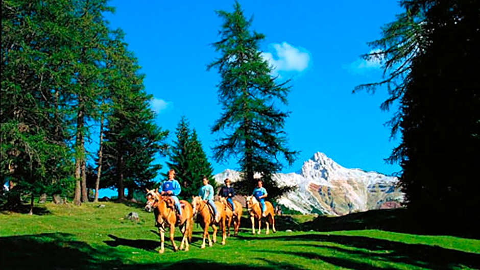 Panorama Vital Hotel Rimmele