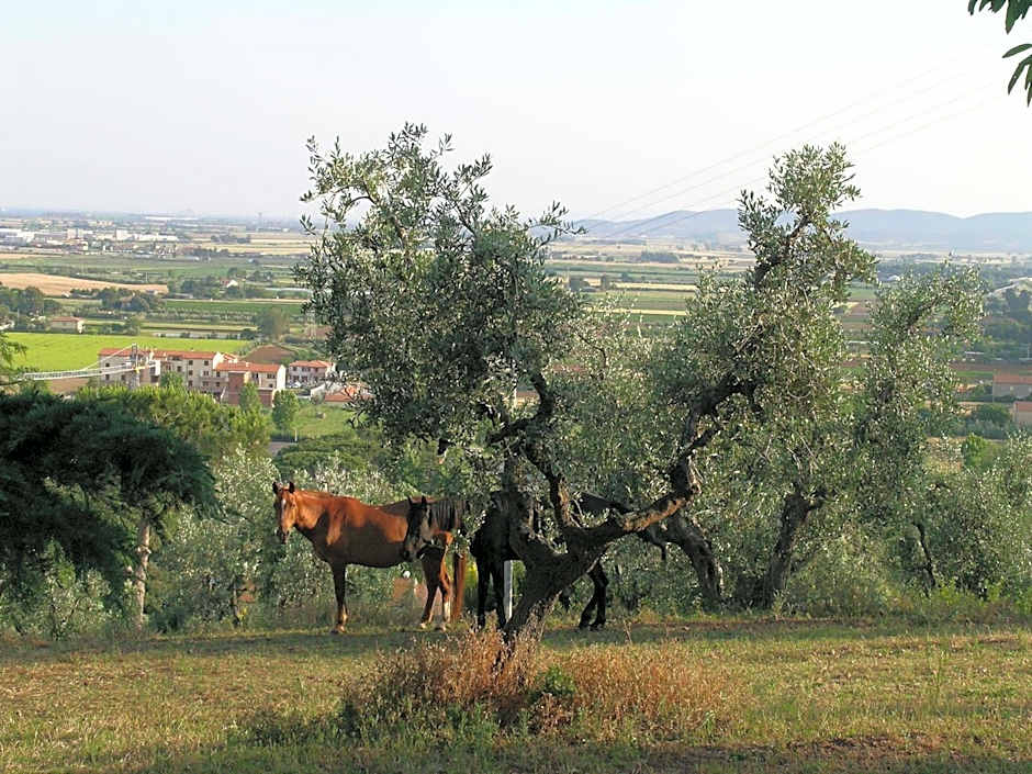 B&B Villa il Poggetto