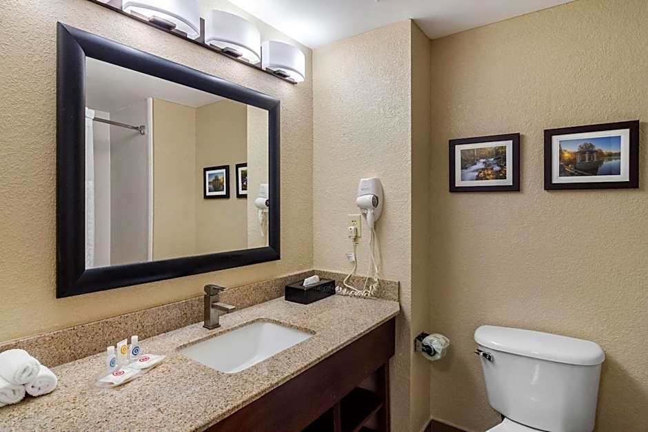 Comfort Suites Woodstock - Atlanta North