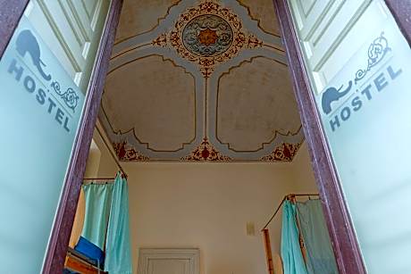 Bed in 8-Bed Female Dormitory Room with Shared Bathroom