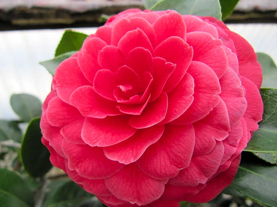 Hotel & Spa Cacciatori