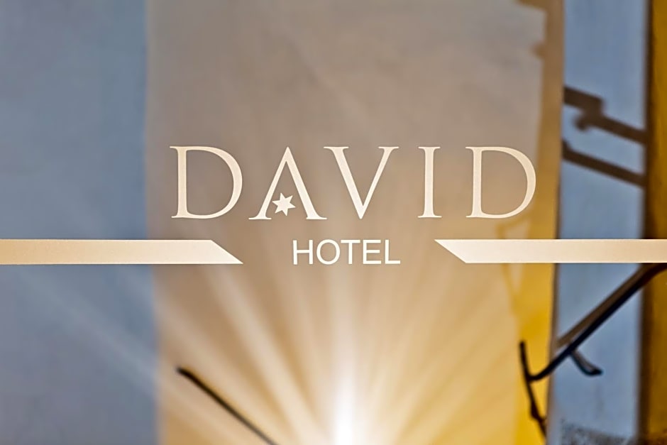 Hotel David an der Donau