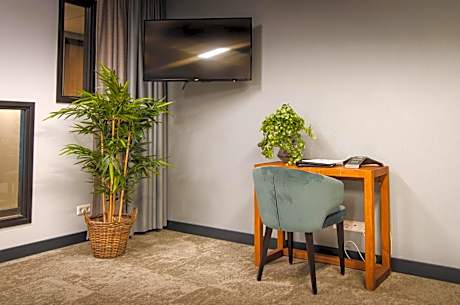 Budget Room without daylight