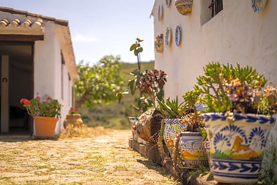 Finca Santa Teresa, Casa Granada