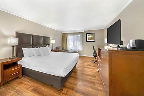 1 KING BED,NSMK,1 PERSON JET TUB,MICR FRG,WIRELESS,FULL BREAKFAST