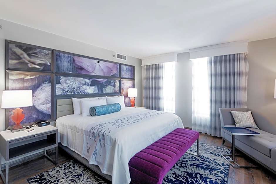 Hotel Indigo BIRMINGHAM FIVE POINTS S - UAB By IHG