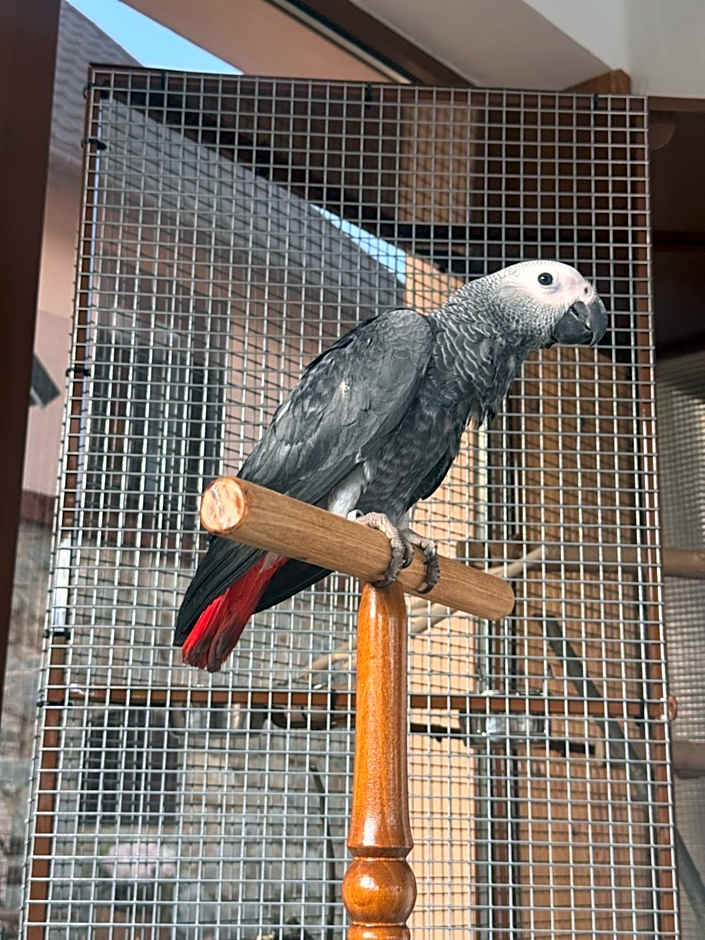 Wellness Penzion Zora Family