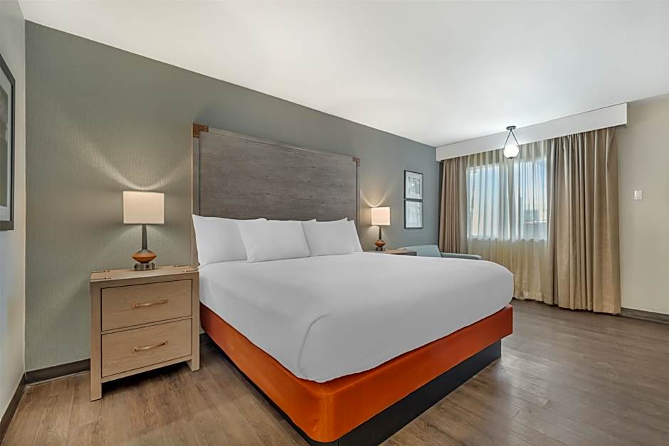 Photo 1 of 12 of 1 King Bed, Pet-Friendly