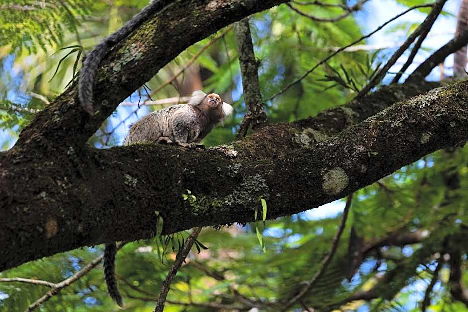 Casa Condominio Piccola Paraty