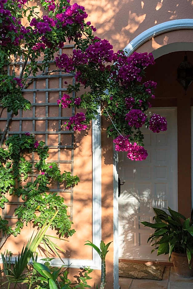 Hotel Madreselva - Grupo Califa