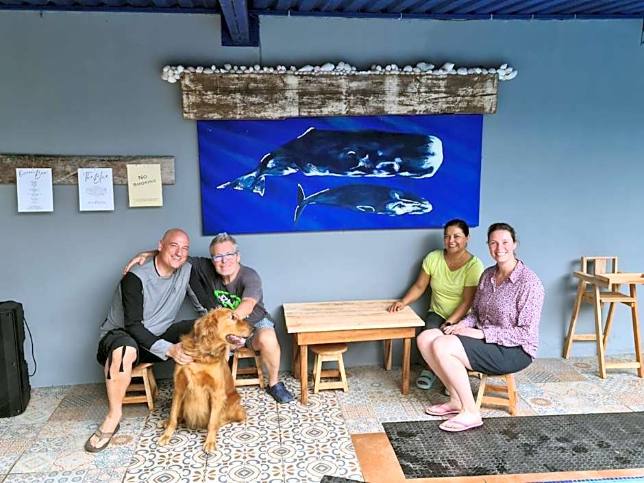 The Blue Eco Lodge