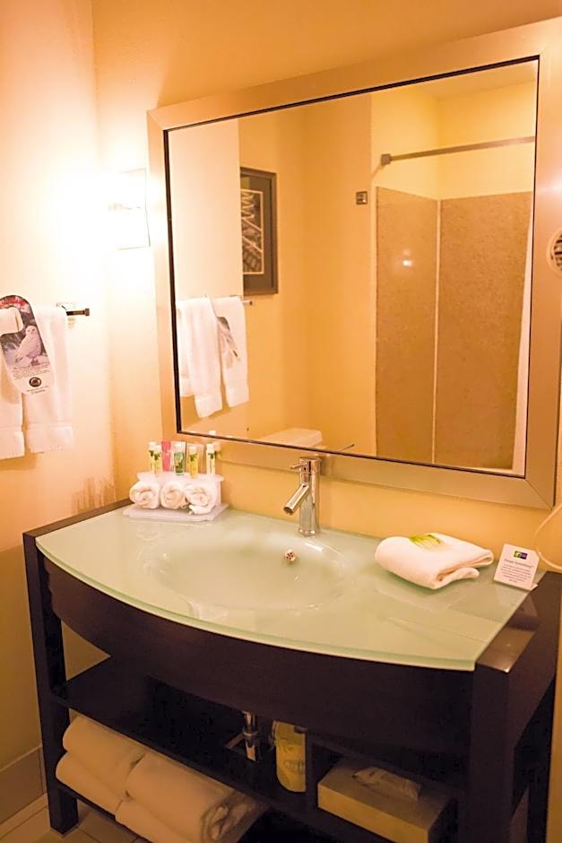 Holiday Inn Express Hotel & Suites Chattanooga Hixson By IHG