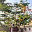 La Diosa Kali Beach Front Hotel
