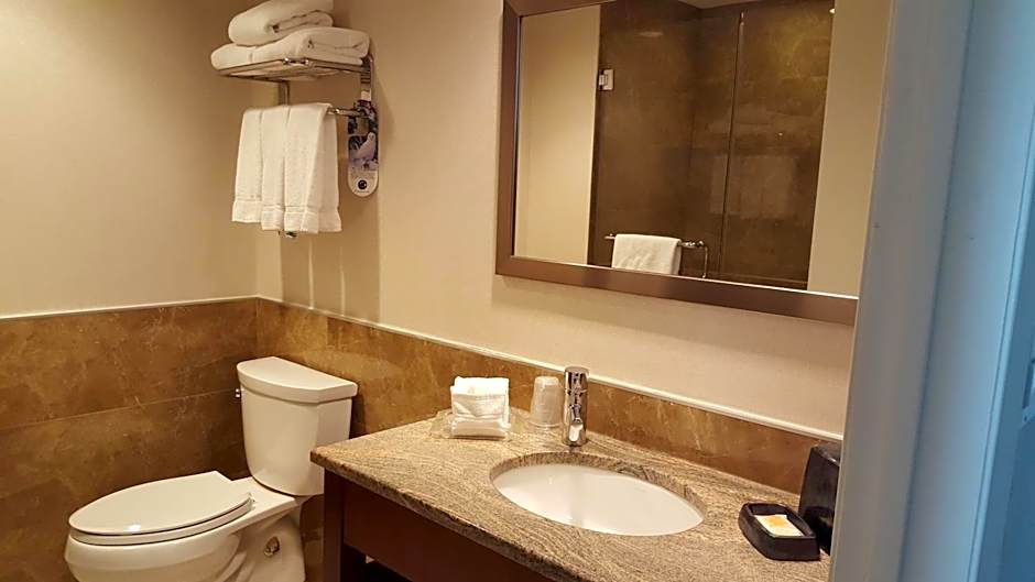 LIC Manhattan View Hotel