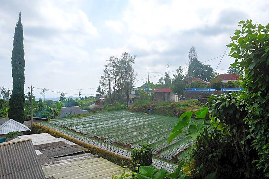 RedDoorz near Candi Sukuh Karanganyar