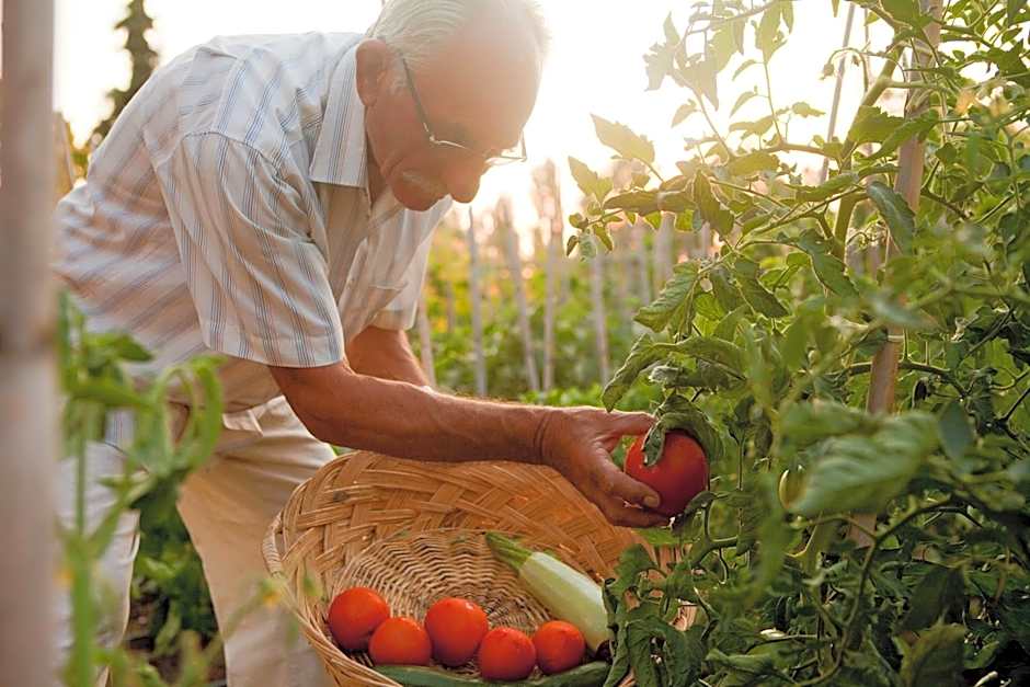 Haus Risos Next Generation