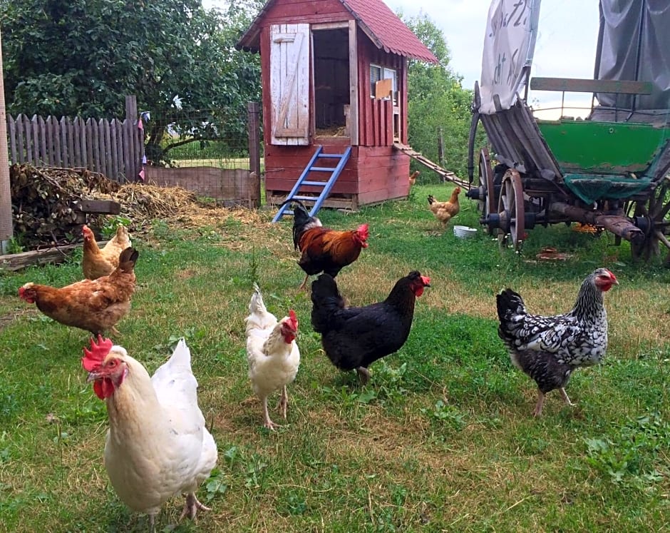 Bed & Breakfast Chez Lips