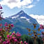 Pension Alpengruss
