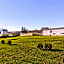 Rodeway Inn & Suites