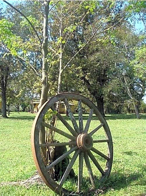 Pousada Chácara das Roseiras