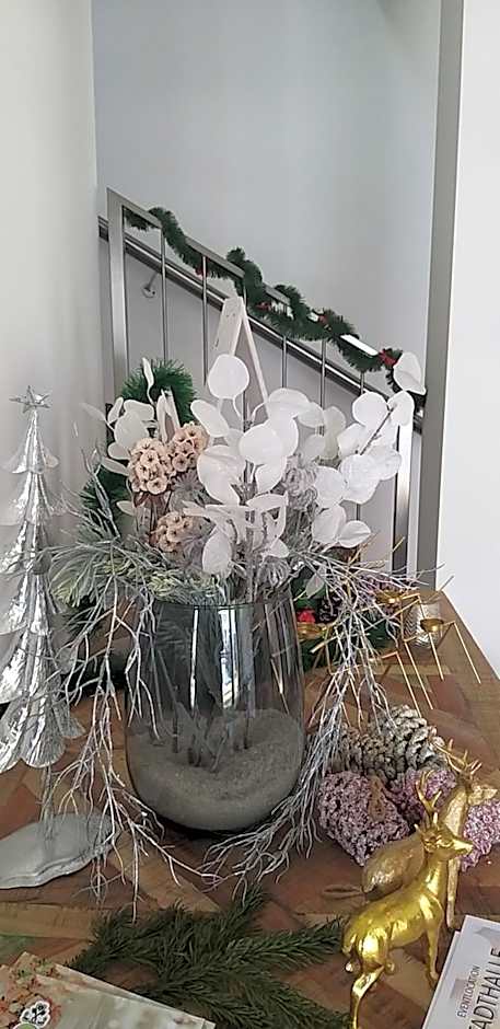 Haidinger's Boutique Domizil