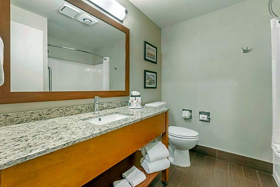 Comfort Inn & Suites Seatac