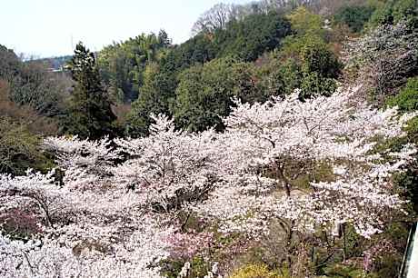 Japanese-Style Quadruple Room with Shared Bathroom