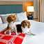 The Highlander Hotel Radford