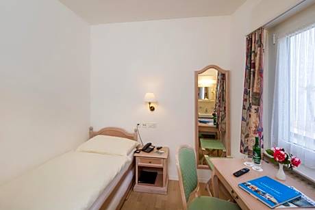 Budget Single Room with Mountain View